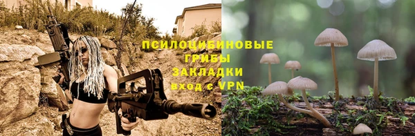 а пвп мука Алзамай