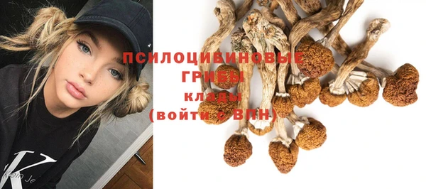 твердый Алексин